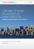 Climate change adaptation in New York city: building a risk management response
