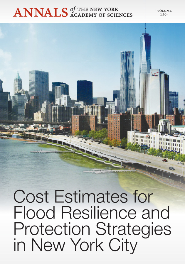 Cost Estimates for Flood Resilience and  Protection Strategies in New York City