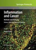 Inflammation and cancer: Methods and Protocols Vol 2 Molecular analysis and pathways