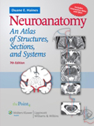 Neuroanatomy atlas