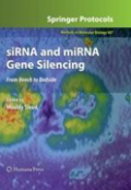 siRNA and miRNA gene silencing: from bench to bedside