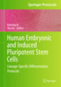 Human embryonic and induced pluripotent stem cells: lineage-specific differentiation protocols