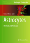 Astrocytes: methods and protocols