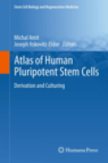 Atlas of human pluripotent stem cells: derivation and culturing