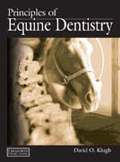 Principles of equine dentistry