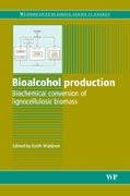 Bioalcohol production: biochemical conversion of lignocellulosic biomass
