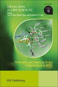 Structural and catalytic roles of metal ions in RNA