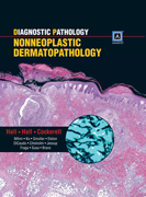 Diagnostic pathology: nonneoplastic dermatopathology