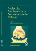 Molecular mechanisms of neurotransmitter release