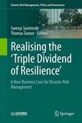Realising the Triple Dividend of Resilience