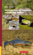 Taschenlexikon der amphibien und reptilien europas