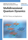 Multidimensional quantum dynamics: MCTDH theory and applications
