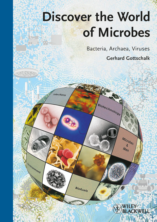 Discover the world of microbes: bacteria, archaea, and viruses