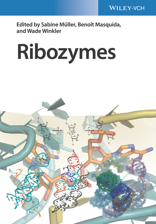 Ribozymes: Principles, Methods, Applications 2 Volume Set