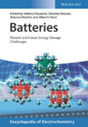 Batteries: Present and Future Energy Storage Challenges 2 Volume Set