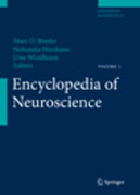 Encyclopedia of neuroscience