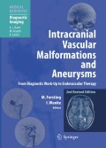 Intracranial vascular malformations and aneurysms: from diagnostic work-up to endovascular therapy