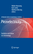 Piezoelectricity: evolution and future of a technology