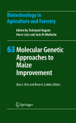Molecular genetic approaches to maize improvement