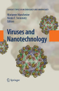 Viruses and nanotechnology