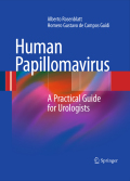 Human Papillomavirus: a practical guide for urologists