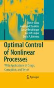 Optimal control of nonlinear processes: with applications in drugs, corruption and terror