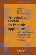 Micro-/nanoengineering and characterization of ferroelectric crystals for photonic applications