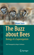 The buzz about bees: biology of a superorganism