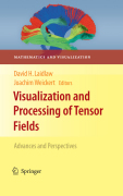 Visualization and processing of tensor fields: advances and perspectives