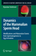 Dynamics of the mammalian sperm head: modifications and maturation events from spermatogenesis to egg activation