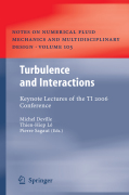 Invited lectures of the Turbulence and Interaction 2006 Conference