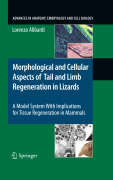 Morphological and cellular aspects of tail and limb regeneration in lizard: a model system with implications for tissue regeneration in mammals