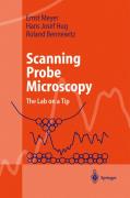 Scanning probe microscopy: the lab on a tip