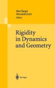 Rigidity in dynamics and geometry: contributions from the programme 