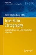 True-3D in cartography: autosteroscopic and steric visualisation of geodata