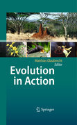 Evolution in action: case studies in adaptive radiation, speciation and the origin of biodiversity