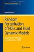 Random perturbation of PDEs and fluid dynamic models: École D’été de Probabilités De Saint-Flour XL – 2010