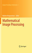 Mathematical image processing: University of Orléans, France, March 29th - April 1st, 2010