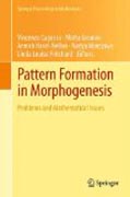 Pattern formation in morphogenesis: problems and mathematical issues