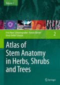 Atlas of stem anatomy in herbs, shrubs and trees v. 2