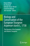 Biology and conservation of the European sturgeon acipenser sturio L. 1758: the reunion of the European and Atlantic sturgeons