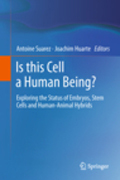 Is this cell a human being?: exploring the status of embryos, stem cells and human-animal hybrids