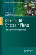 Receptor-like kinases in plants: from development to defense