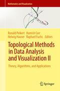 Topological methods in data analysis and visualization II: theory, algorithms, and applications