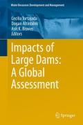 Impacts of large dams: a global assessment