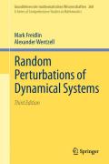 Random perturbations of dynamical systems
