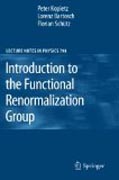 Introduction to the functional renormalization group