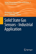 Solid state gas sensors: industrial application