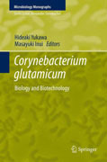 Corynebacterium glutamicum: biology and biotechnology