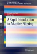 A rapid introduction to adaptive filtering